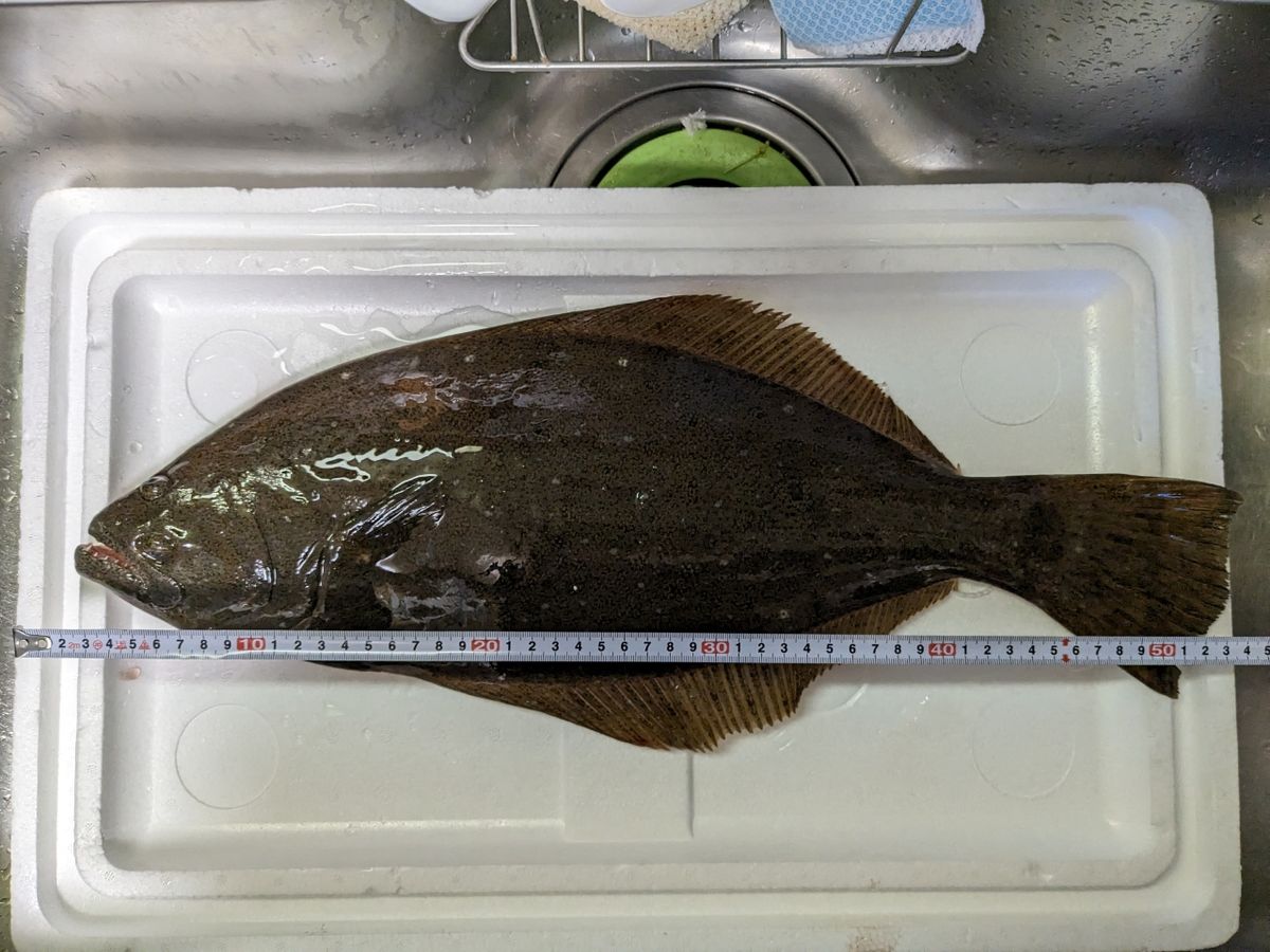 エビタローさんの釣果 3枚目の画像