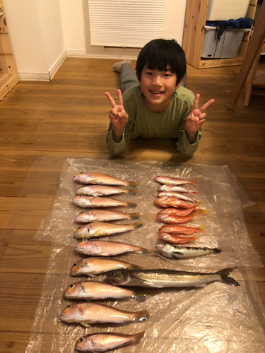 アマダイの釣果