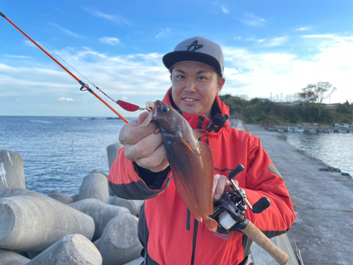 ドンコの釣果