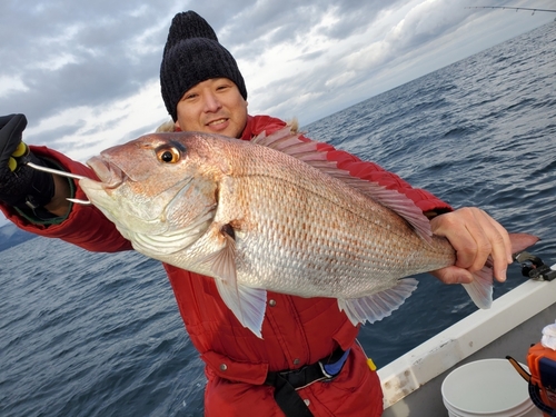 マダイの釣果