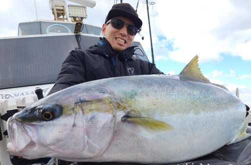 ヒラマサの釣果