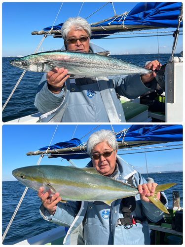 マアジの釣果