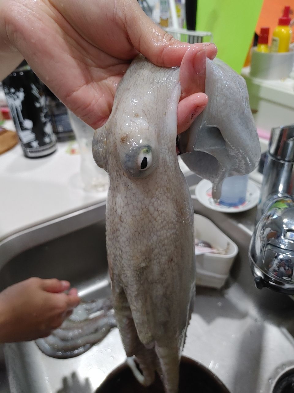 かずまっささんの釣果 2枚目の画像