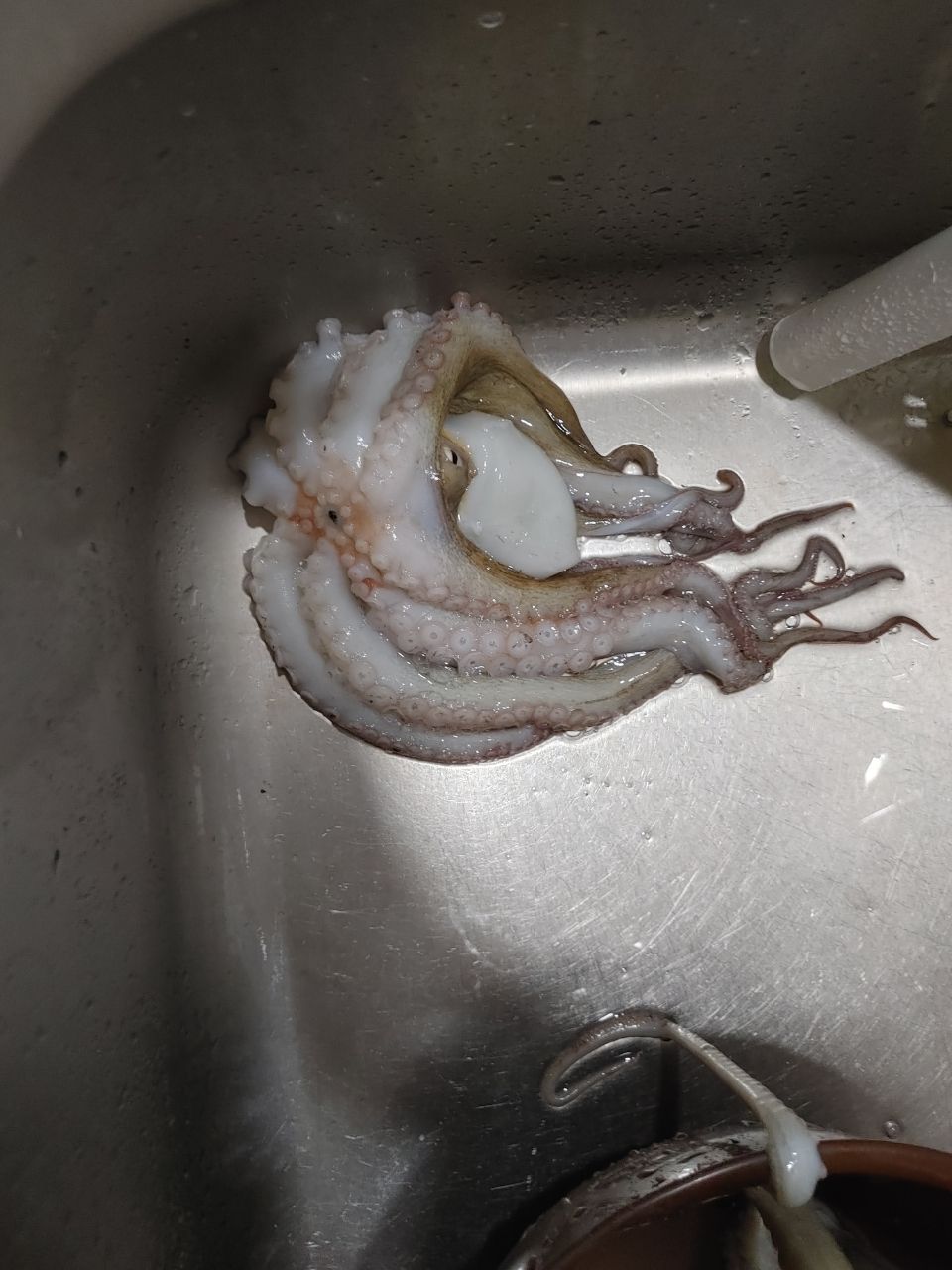 かずまっささんの釣果 3枚目の画像