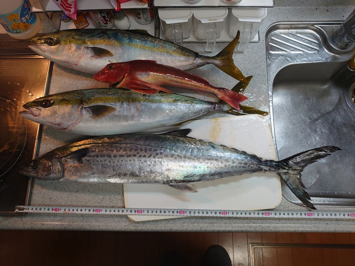 腹くつくてダメださんの釣果 1枚目の画像