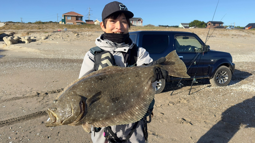 ヒラメの釣果