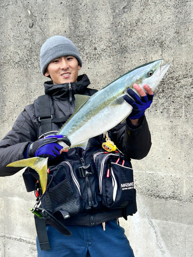 ヤズの釣果