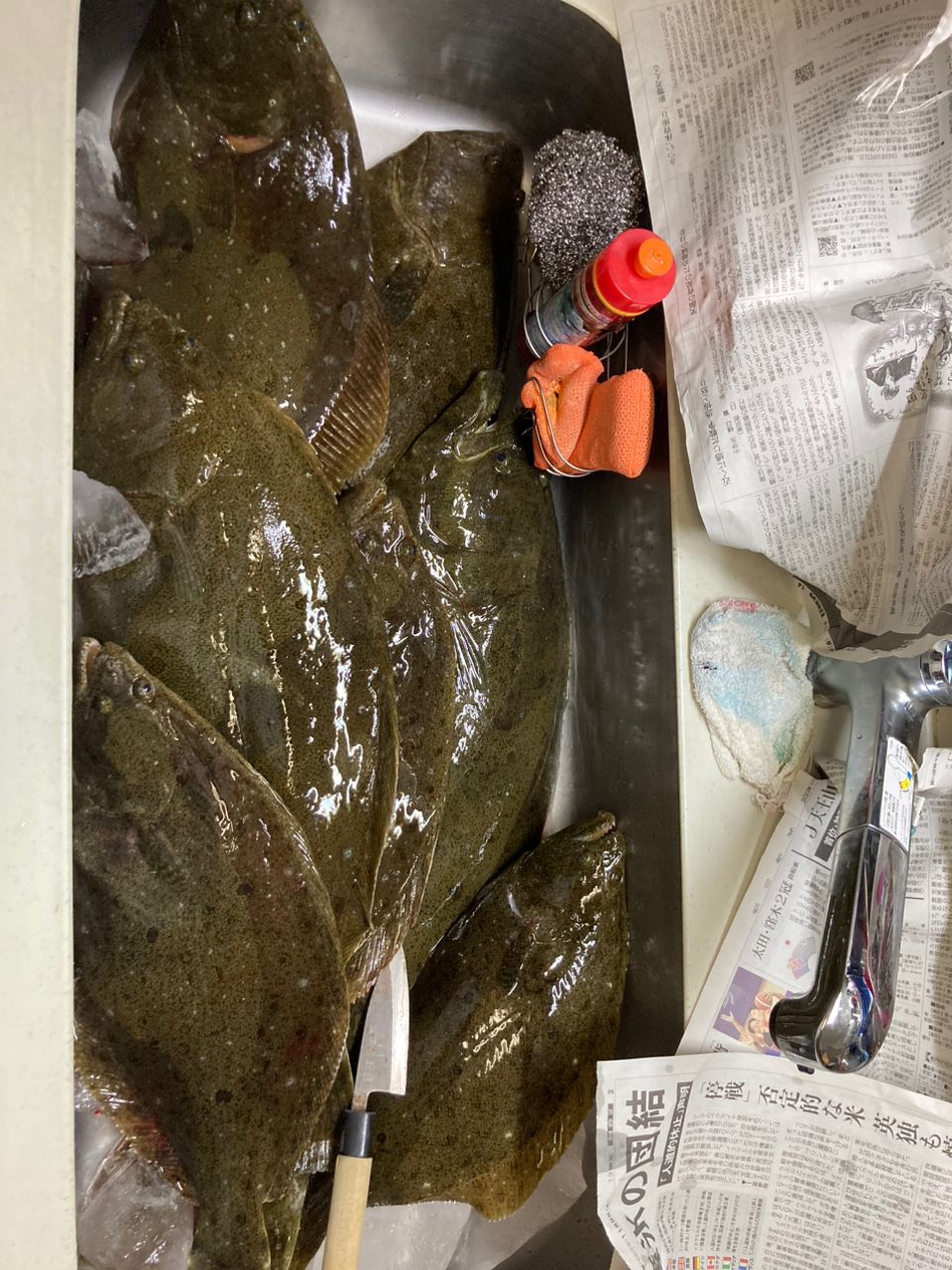 アングラー99984426うっかりカサゴさんの釣果 2枚目の画像