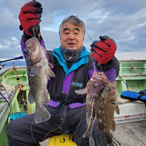 ソイの釣果