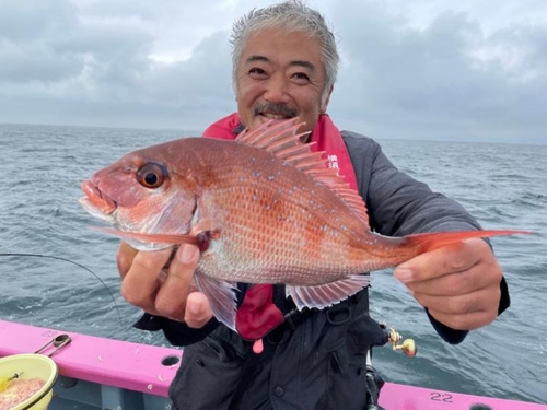 イワシの釣果