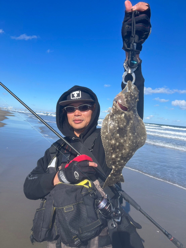 ヒラメの釣果