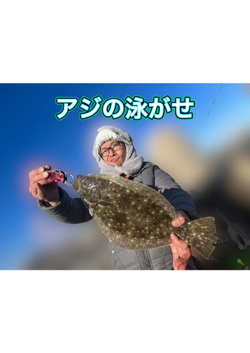 ヒラメの釣果