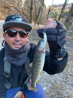 イワナの釣果