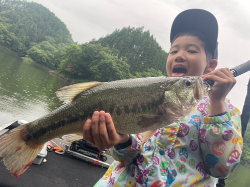 ブラックバスの釣果