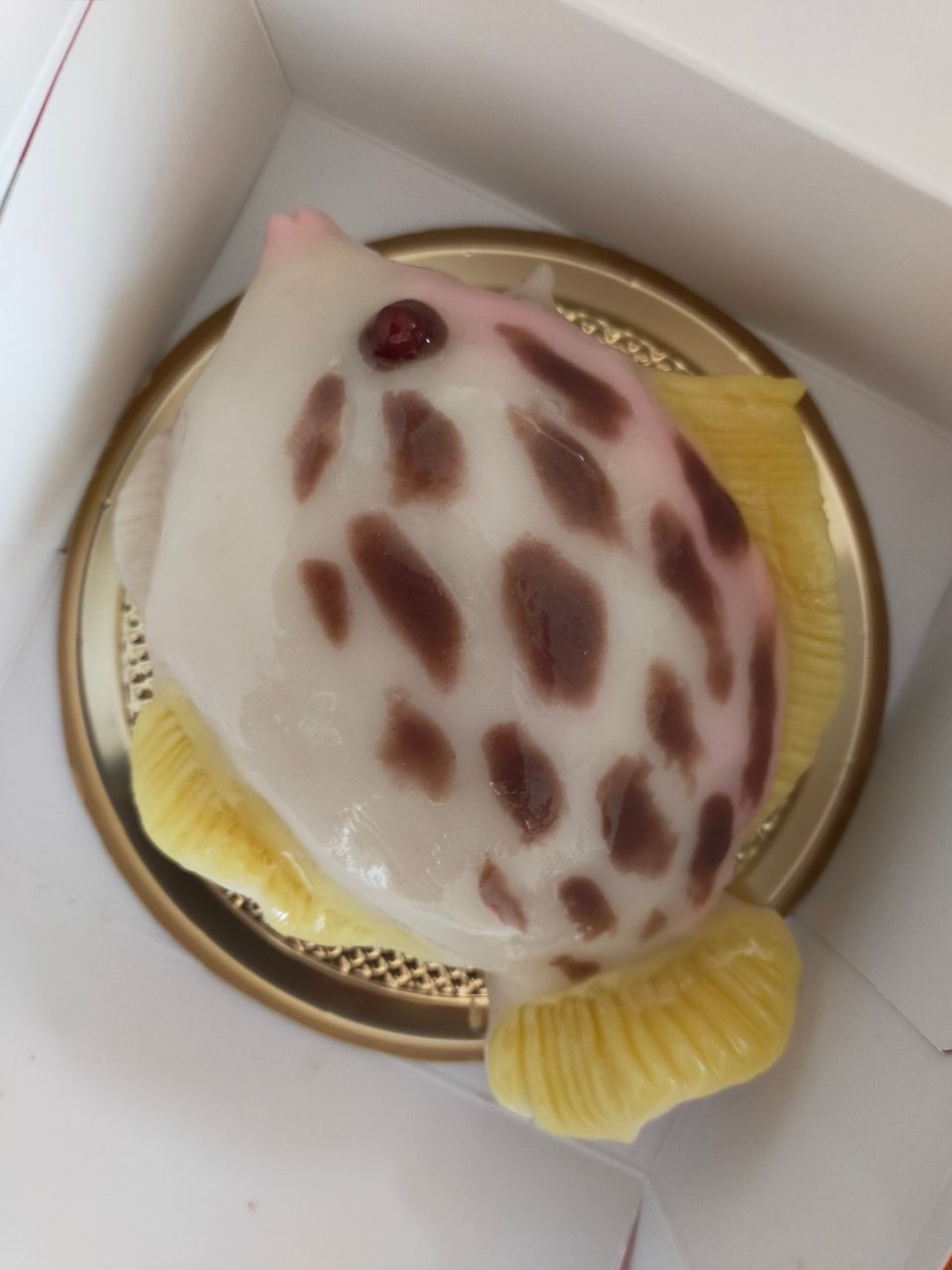 KYARON3さんの釣果 3枚目の画像