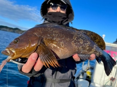 アイナメの釣果