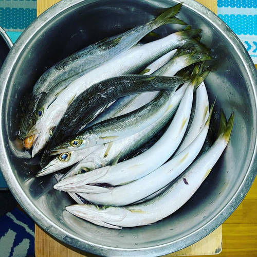 釣果