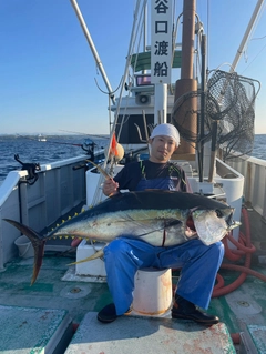 キハダマグロの釣果