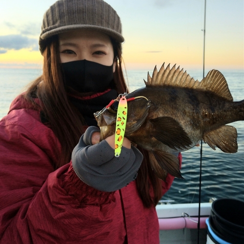 メバルの釣果