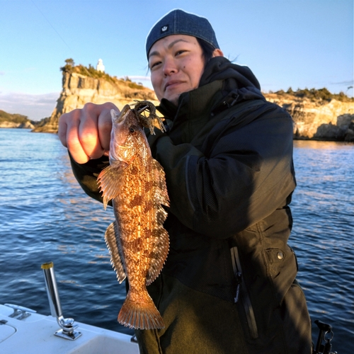 アイナメの釣果