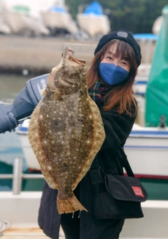 ヒラメの釣果