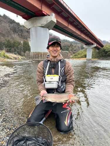 ニジマスの釣果