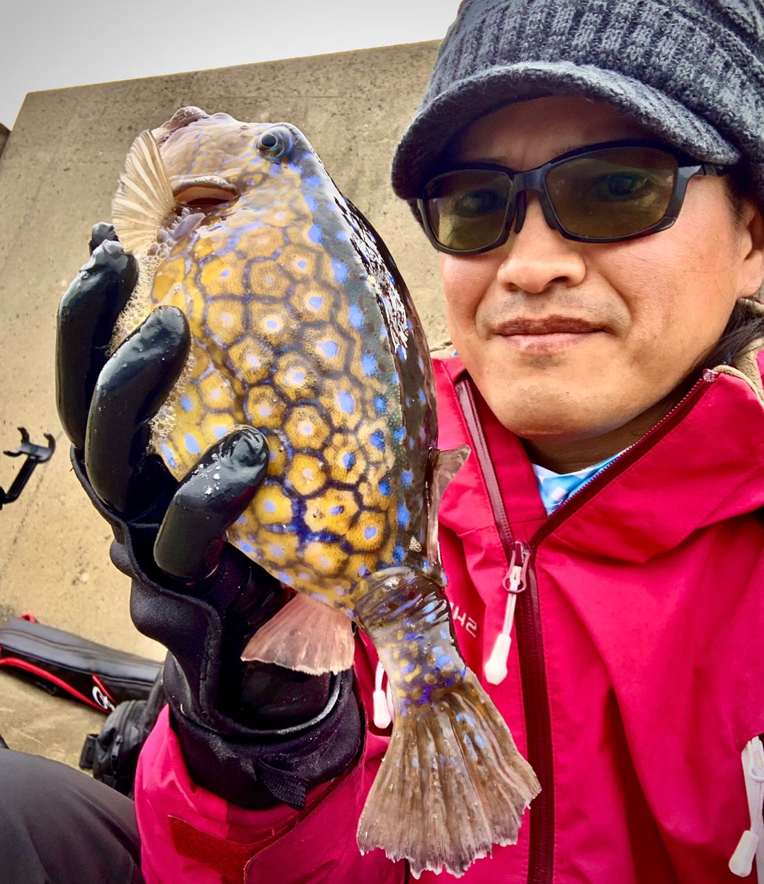 和歌山のもりもっちゃんさんの釣果 1枚目の画像