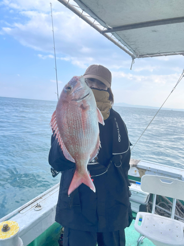 マダイの釣果