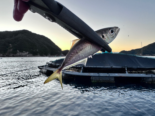 釣果