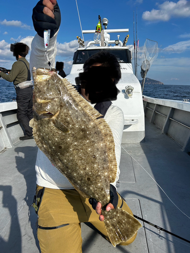 ヒラメの釣果