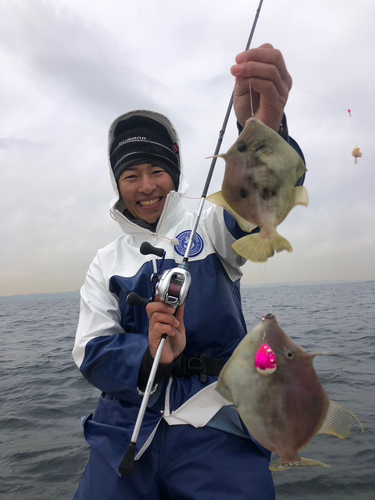 カワハギの釣果