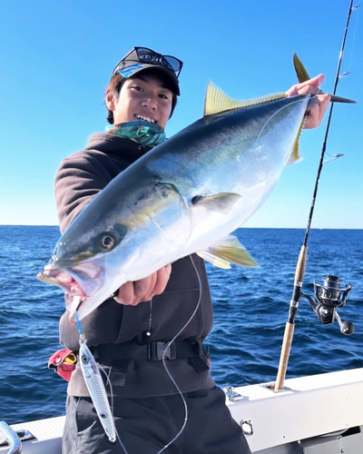 ブリの釣果