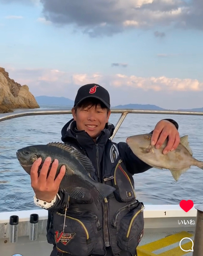 クチブトグレの釣果