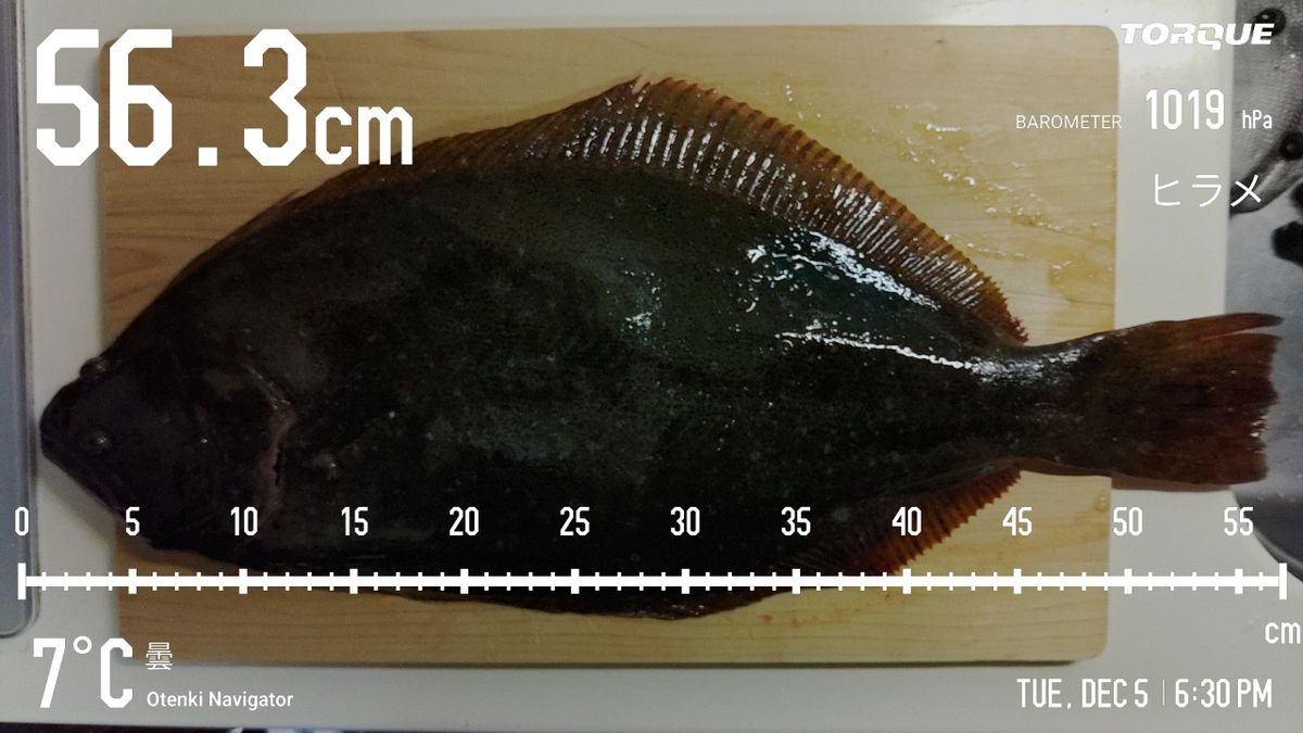 でっけさんの釣果 2枚目の画像