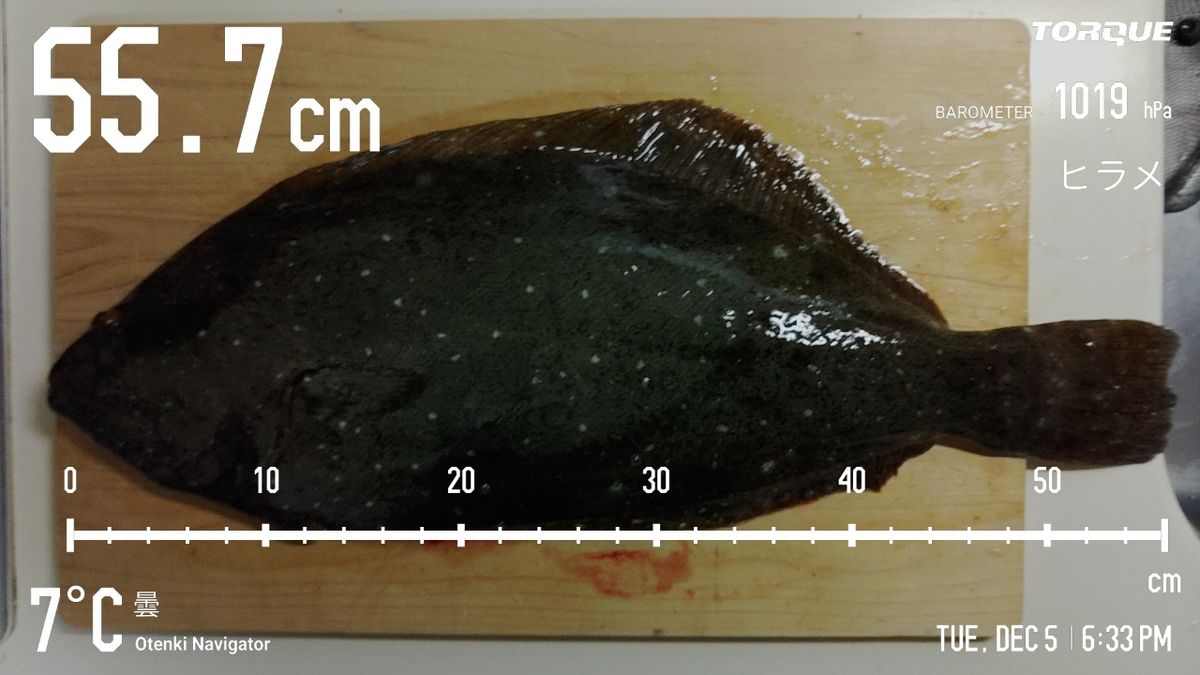 でっけさんの釣果 3枚目の画像