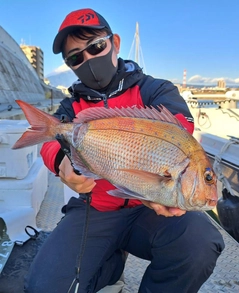 マダイの釣果