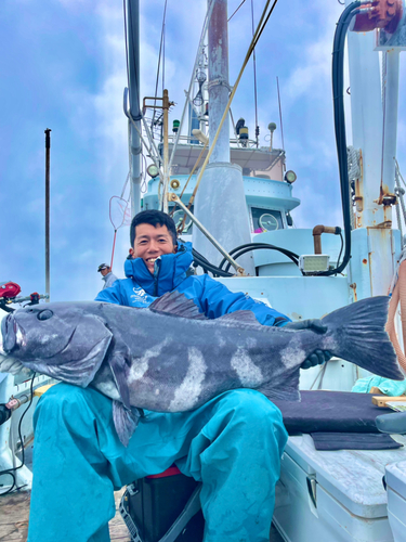 アブラボウズの釣果