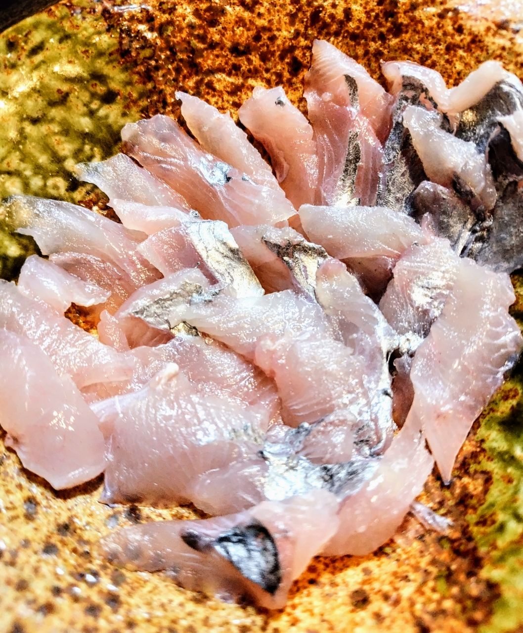 ムラマッティさんの釣果 3枚目の画像