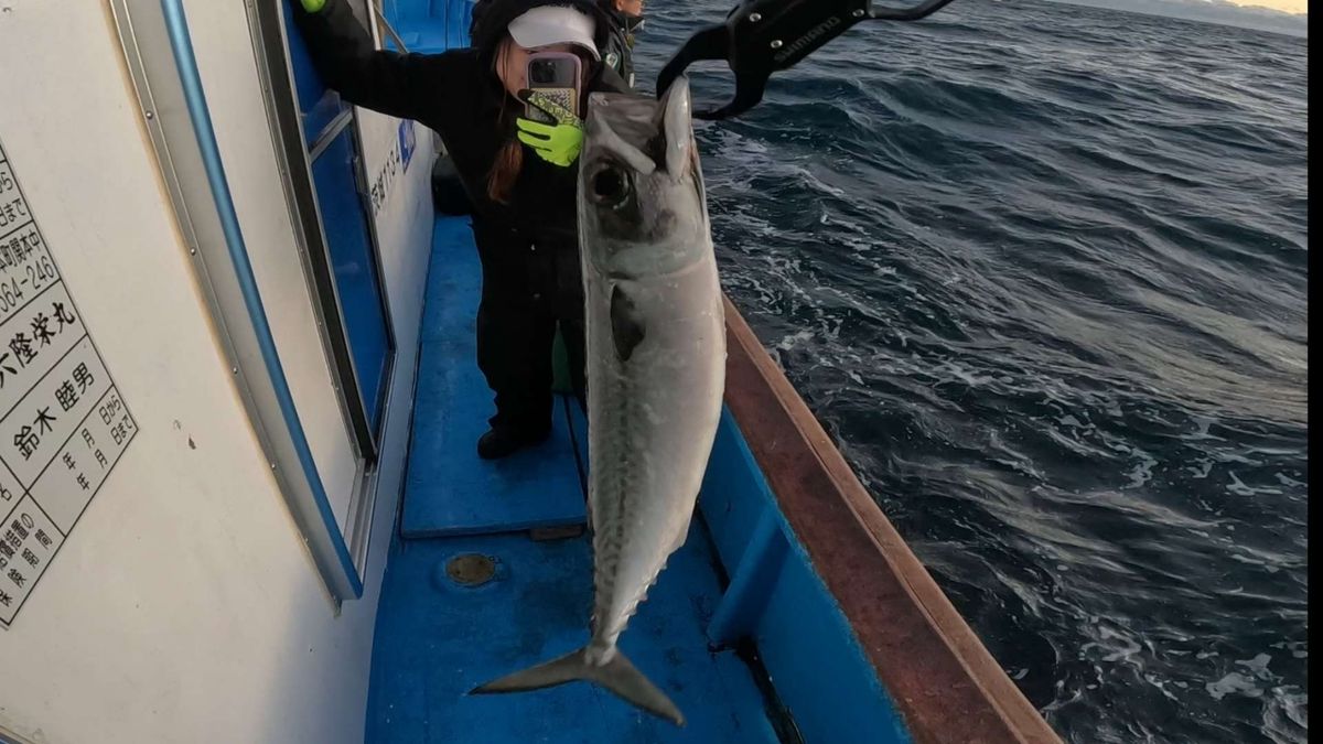 はがちゃんネルさんの釣果 2枚目の画像