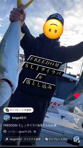 ヤズの釣果