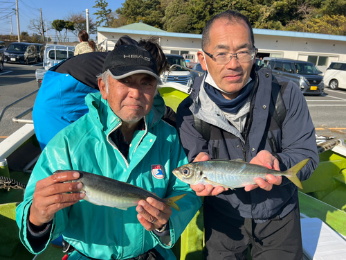 マアジの釣果