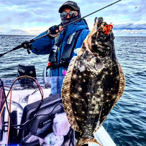 ヒラメの釣果