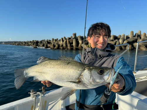 ヒラスズキの釣果