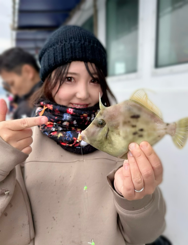 カワハギの釣果