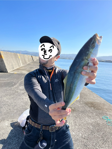 ヤズの釣果