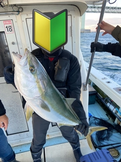 ブリの釣果