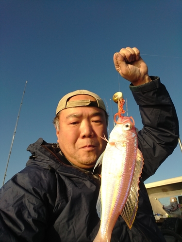 イトヨリダイの釣果