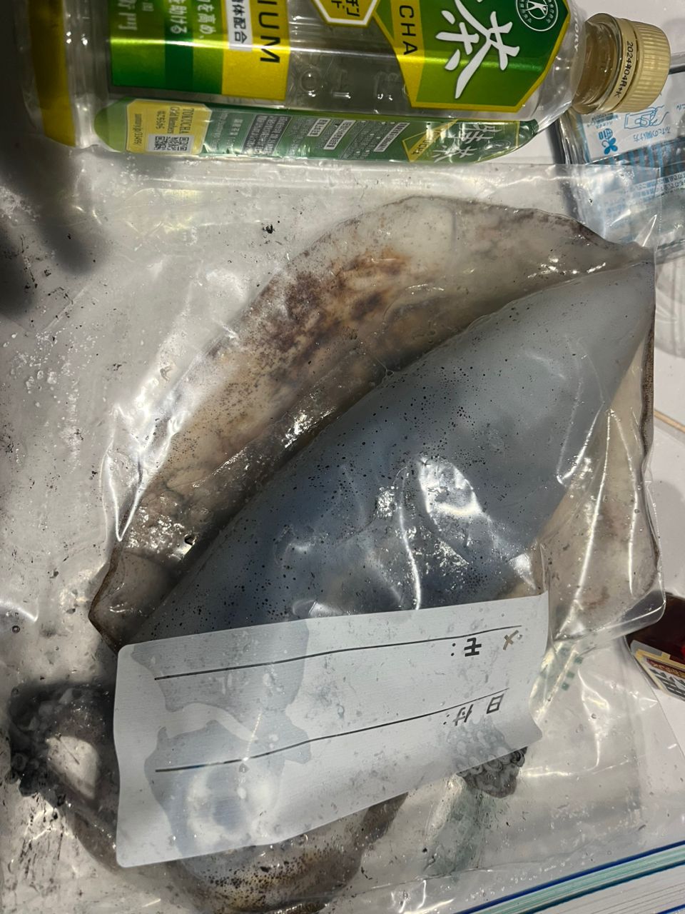 DOVさんの釣果 1枚目の画像