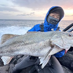 ベイトマンの釣果