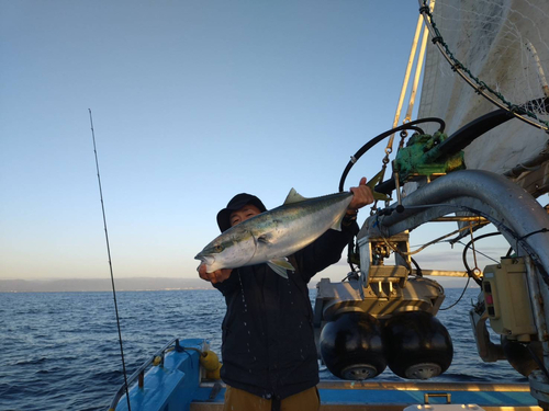 ワラサの釣果